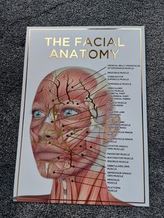 the facial anatomy book is on display