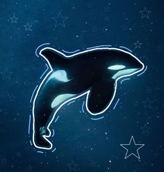 Whale Icon, Pins, Quick Saves