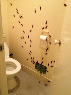 a bathroom with black bugs crawling on the wall and toilet paper dispenser