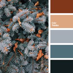 the color scheme is brown, blue and green with orange accents on it's branches