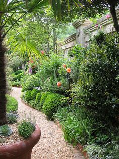 a garden filled with lots of plants and trees