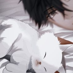 a white cat sleeping on top of a bed next to a person's head