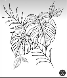 a black and white drawing of leaves