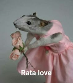 a small rodent in a pink dress holding flowers