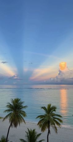 palm trees line the beach as the sun sets over the ocean in this tropical scene