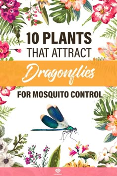 the cover of 10 plants that attract dragonflies for mosquito control