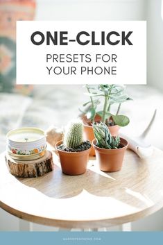 three potted plants sitting on top of a wooden table