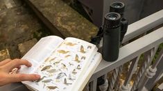 a person is holding an open book with birds on it and two binoculars in the background