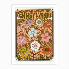 a poster with flowers and plants in the center, says wildflowers of pennsylvania