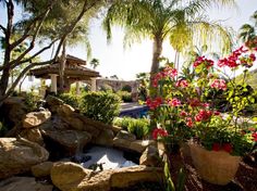 a small pond surrounded by rocks and flowers