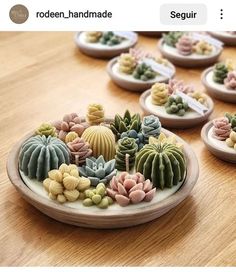 there are many different kinds of succulents on the table and one is made out of clay