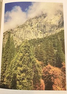 an open book with trees and mountains in the background