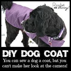 a black dog wearing a purple coat on top of it's head and the caption says, diy dog coat you can sew a dog a coat, but you can't make her look at the camera