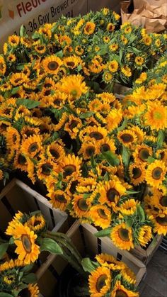 sunflowers are being sold at the farmer's market