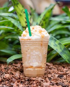 a starbucks drink with whipped cream and a green straw sitting on top of some leaves