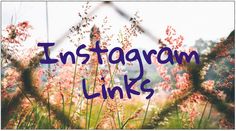 the words instagram links are in front of some tall grass and bushes with purple flowers