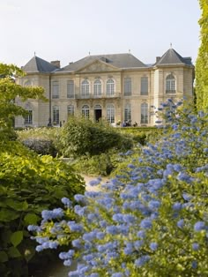 a large house surrounded by blue flowers and greenery