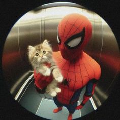 a cat is sitting in front of a spider - man character with his paw on the kitten's chest