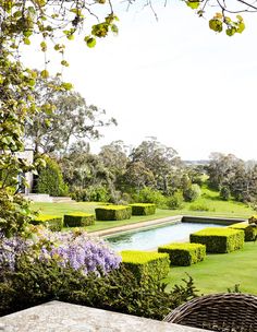 a table and chairs in the middle of a garden