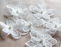 some white flowers are sitting on a piece of cloth