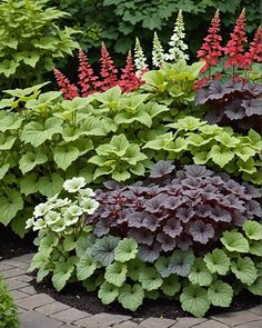 various plants and flowers in a garden area