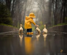 Morning Pictures, Jolie Photo, Alam Yang Indah, In The Rain, 귀여운 동물, Morning Images, Cuteness Overload, Animals Friends, Children Photography