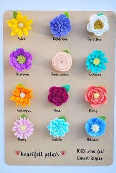 several different types of flowers on a piece of paper with the names of each flower