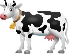 a black and white cow with a bell around it's neck is standing in front of a white background