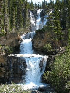 a large waterfall in the middle of a forest