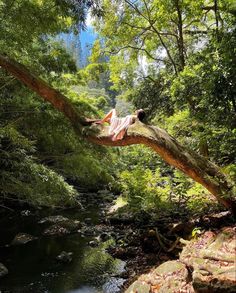 a woman laying on top of a tree branch over a river in the forest with rocks and trees