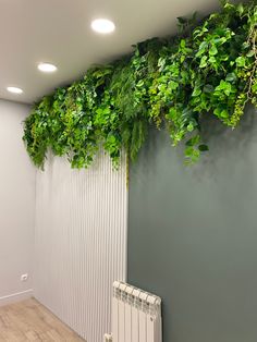 a green plant is growing on the side of a wall next to a radiator