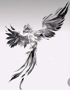 a black and white drawing of a bird with its wings spread out in the air