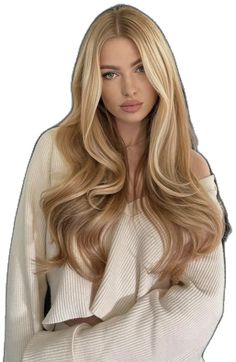 Reina Ellis, Blonde Extensions, Rina Kent, Brown Blonde, Brown To Blonde, Hair Weft, Human Hair Extensions, Clip Ins, Hair Extensions