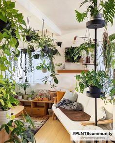 There are so many ways to display plants in your home! Budget Home Decorating, Online Furniture Shopping, Discount Furniture, Stylish Furniture, Elle Decor, Aesthetic Room, Home Look, Decor Interior Design