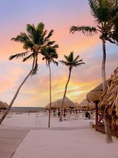 palm trees line the beach as the sun sets