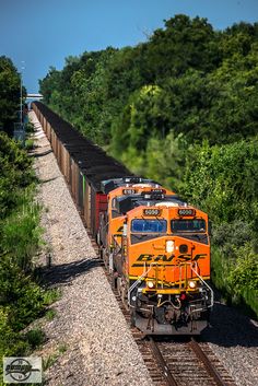 an orange train traveling down tracks next to lush green trees and bushes on a sunny day