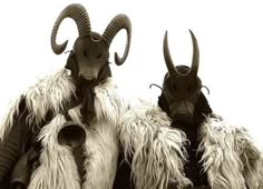 two horned goats with long horns standing next to each other in front of a white background