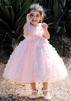 Kids Party Frocks, Mesh Party Dress, Girls Special Occasion Dresses, Butterfly Decor, Tulle Flower Girl, Princess Tutu, Girls Pink Dress, Elegant Girl, Flower Girl Dresses Tulle