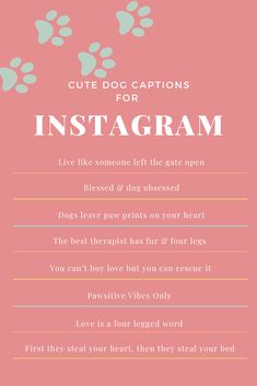 an instagram card with the words cute dog captions for instagram on it