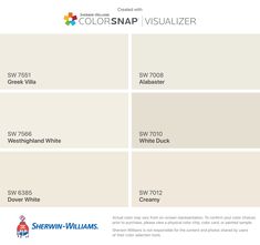 the colorsnap visualizer is available for all types of painting and decorating