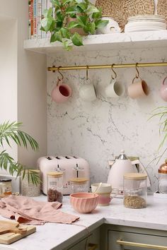 a kitchen counter with pots and pans hanging on the wall next to potted plants