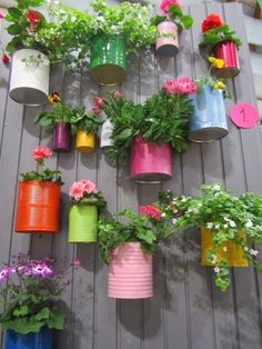 colorful flower pots hanging on the side of a wall