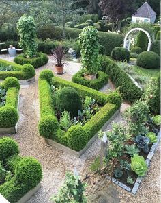 a garden filled with lots of different types of trees and plants in it's center