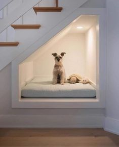 a dog sitting on top of a bed under a stair case