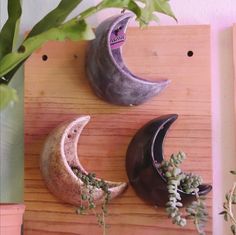 two moon shaped planters sitting on top of a wooden board