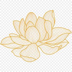 a drawing of a yellow flower on a white background, with lines in the middle