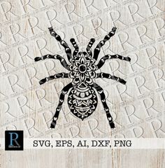 spider svg, epsp, dxf and png