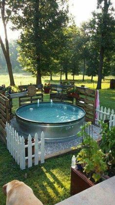 two screenshots of an outdoor hot tub and a dog in the yard with trees