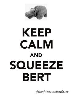 a poster with the words keep calm and squeezeze bert