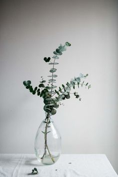 a vase filled with water and greenery sitting on top of a white table cloth